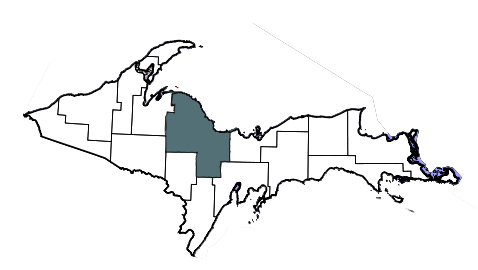 stencil of county map of upper peninsula of michigan with marquette county shaded in